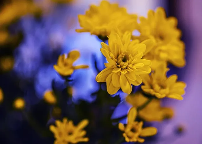 Foresteria Bella Bérgamo