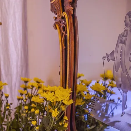 Panzió Foresteria Bella