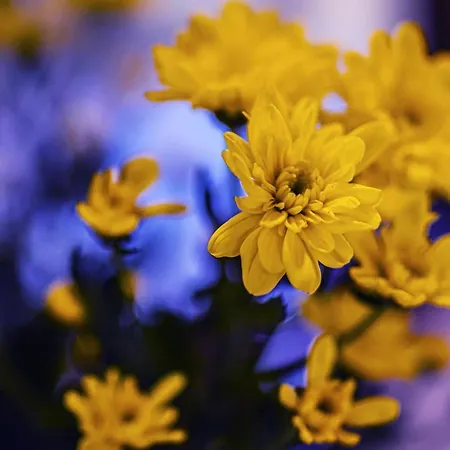 Foresteria Bella Bergamo